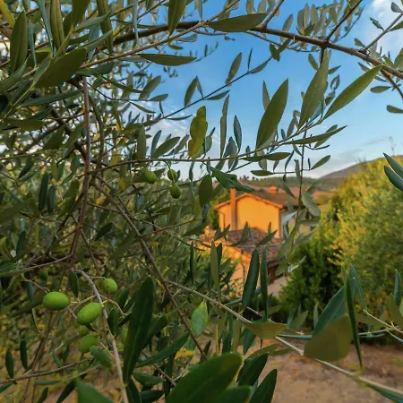 Gorgeous In Casenove With Swimming Pool * Spoleto