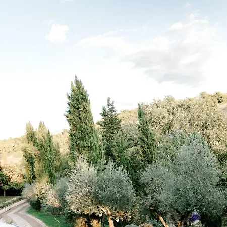 Gorgeous In Casenove With Swimming Pool Willa *