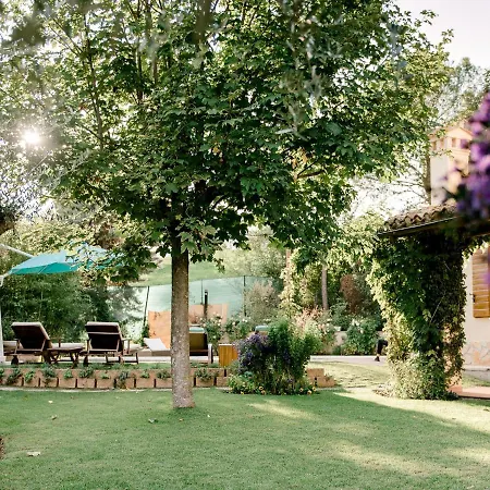 Gorgeous In Casenove With Swimming Pool *